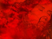 /album/photo-gallery-ljubov-i-romantika/love-and-romance-wallpapers-065-jpg/